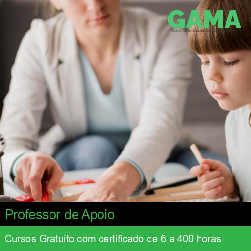Professor de Apoio